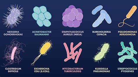 10 most dangerous antibiotic-resistant bacteria - Longitude Prize