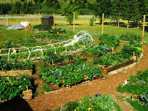 Permaculture Garden - GreenMyLife