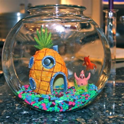 Spongebob !!! | Spongebob fish tank, Pet fish, Fish tank themes