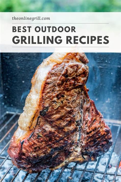 29 Best Grill Recipes [Easy BBQ Grilling Ideas]