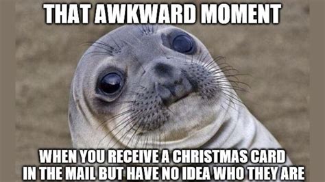 30+ Christmas Card Memes 2023 That are Way Too Funny