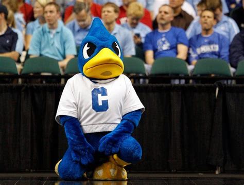 Billy Bluejay, Creighton Bluejays mascot. Creighton University, Blue ...