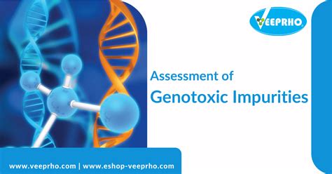 Assessment of Genotoxic Impurities - Veeprho