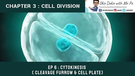 Chapter 3 EP 6 / Sem 1 : Cytokinesis ( Cleavage Furrow & Cell Plate ) (Matriculation Biology ...