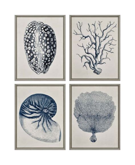 Paragon Picture Gallery Paragon Coastal Framed Wall Art Set of 4, 26 ...