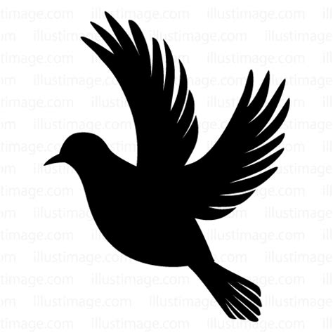 The best free Pigeon silhouette images. Download from 52 free silhouettes of Pigeon at GetDrawings