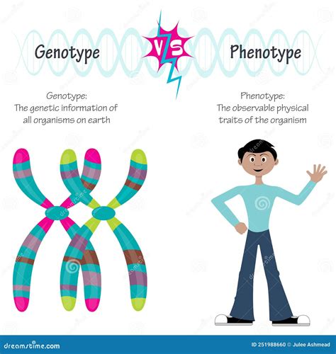 Genotypes Cartoons, Illustrations & Vector Stock Images - 28 Pictures to download from ...