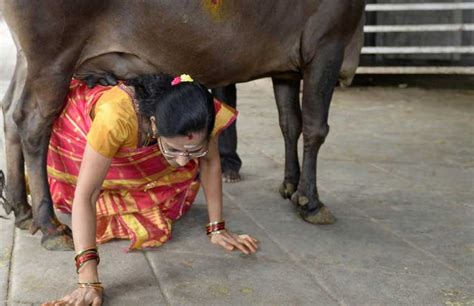 PHOTOS: Hindus worship cow to celebrate ‘Krishna Janmashtami’ - The ...