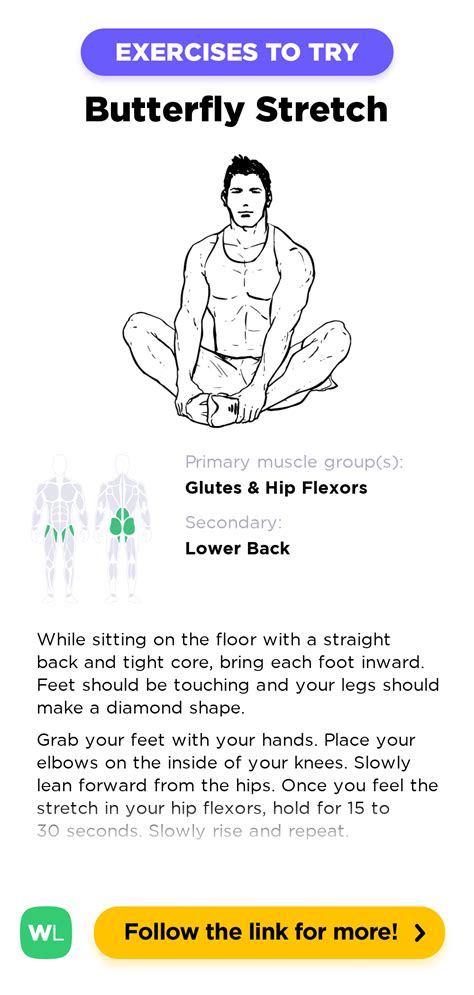 Butterfly Stretch – WorkoutLabs Exercise Guide