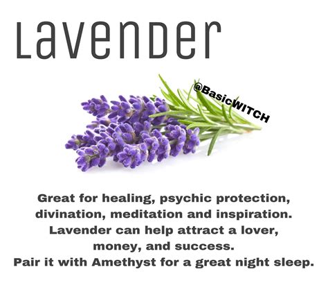 Lavender-Herbal Correspondences. | Herbalism, Magic herbs, Magickal herbs