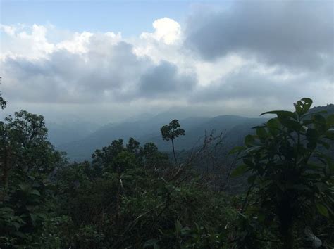 It's humid up here | Costa, Costa rica, Humidity