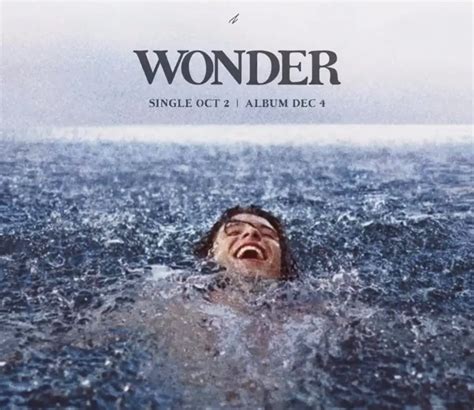 La espera valió la pena: Shawn Mendes presenta su nuevo álbum "Wonder" - Todo lo que haga ruido ...