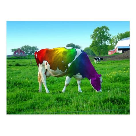 Rainbow Cow Postcard | Zazzle