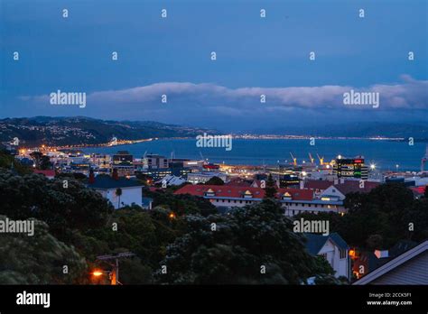 Bay oval new zealand hi-res stock photography and images - Alamy