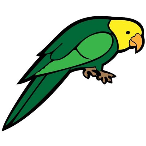 PARROT FREE VECTOR IMAGE | Vector images, Free vector images, Vector art