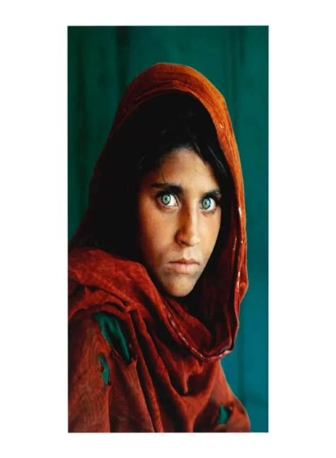 Steve McCurry Afghan Girl 1984 Painting Poster Print Home Decor Framed Or Unframed Popaper ...