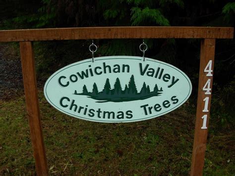 Cowichan Valley (dog-friendly) Christmas Tree Farm (2022), Duncan, BC ...