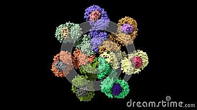 Structure of the Apaf-1 Apoptosome with Cytochrome C Shown Stock ...