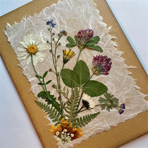 How To Make Dried Pressed Flowers : Easy, low prep, and perfect for ...