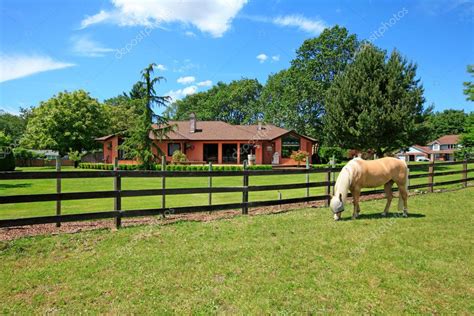 Horse farm with horses, house and summer beautiful day. — Stock Photo © iriana88w #7923848