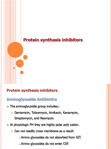 Protein Synthesis Inhibitors | Ribosome | Translation (Biology)