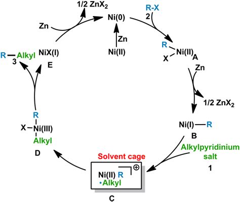 Proposed mechanism of the Ni-catalyzed cross-coupling reaction. | Download Scientific Diagram