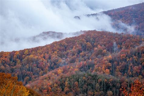 White Thick Fog Near Colored Trees on Mountain During Autumn · Free ...