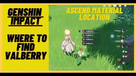 Genshin Impact - Valberry location - Where to find the ascending material Valberry - - YouTube