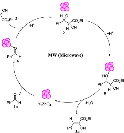 Scheme 1. Proposed Mechanism for the Knoevenagel Condensation Catalyzed ...