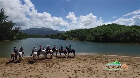 Carabalí Rainforest Adventure Park Trailer - YouTube