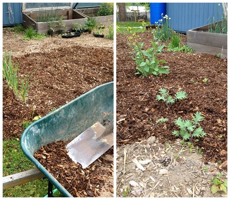 Mulching the Spring Vegetable Garden - Frugal Upstate