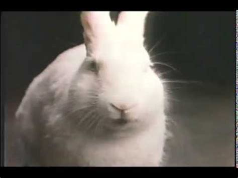 cadbury bunny commercial 1980's - benbouldin