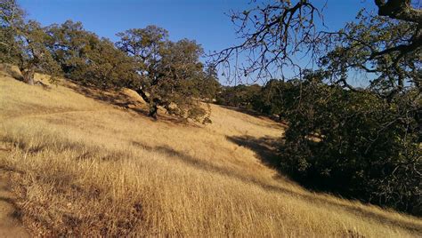 flanders.california.usa: Hiking Henry Coe