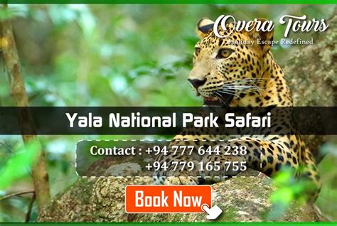 Yala National Park Safari | The Best Wildlife Experience