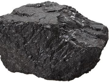 Coal Sedimentary Rocks