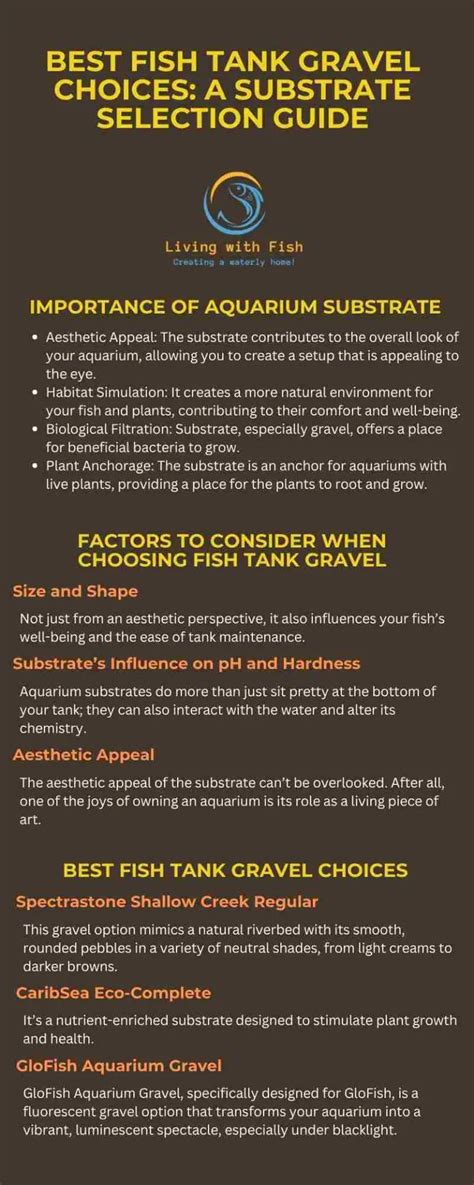 Best Fish Tank Gravel Choices: A Substrate Selection Guide - Living ...