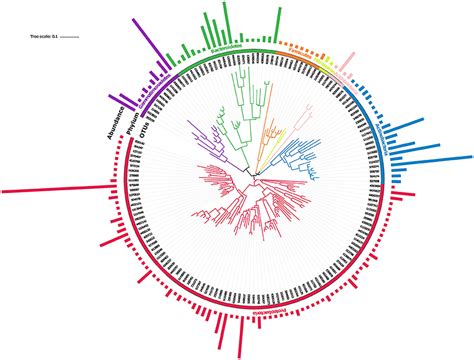 Frontiers | Metagenomic Profiling of Soil Microbes to Mine Salt Stress ...