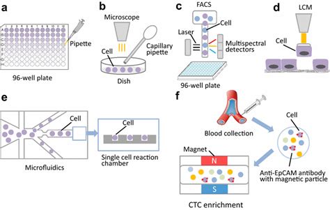 Single cell sequencing - MyBioSource Learning Center