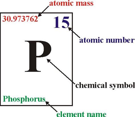 The Atom