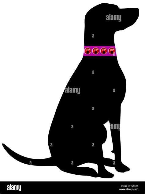 dog tick collar Stock Photo - Alamy