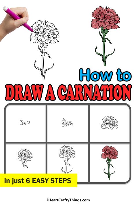 13+ Simple Carnation Drawing | NellaNavasha