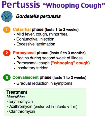 Understanding Bordetella Pertussis: Causes, Symptoms, And Treatment ...