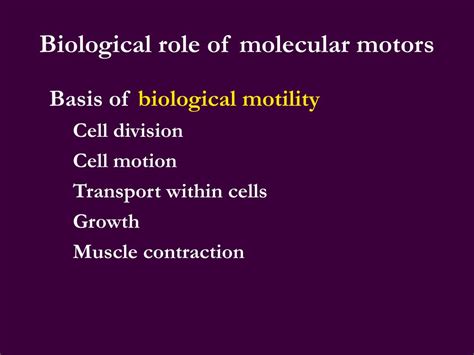 PPT - Molecular motors I PowerPoint Presentation, free download - ID:1388318