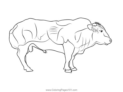 Belgian Blue Bull Coloring Page for Kids - Free Belgium Printable ...