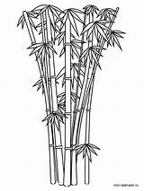 Bamboo coloring Pages sketch template