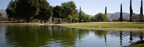 Neighborhood spotlight: 49er Country Club Estates - RealTucson.com