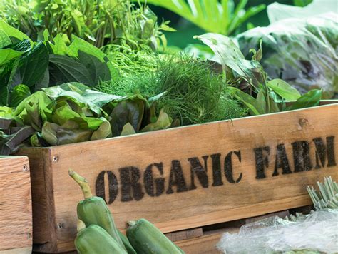 Organic Fresh Produce Sales Continue Double Digit Growth in May ...