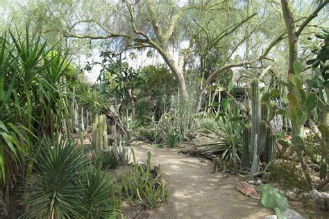 Moorten Botanical Garden is one of the very best things to do in Palm ...