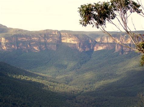 Blue Mountains National Park things to do | Localista