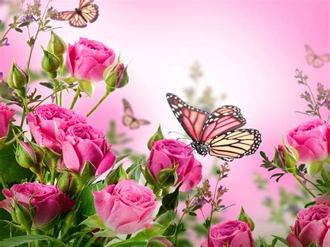 Pin by My boards on Butterfly Love | Butterfly pictures, Flowers, Butterfly wallpaper